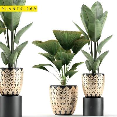 现代盆栽 摆件-1